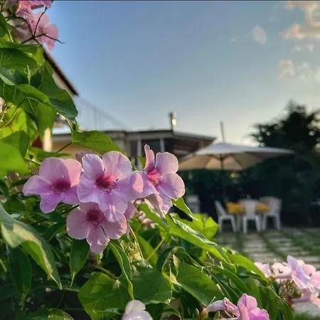 Ferienhaus Marisol